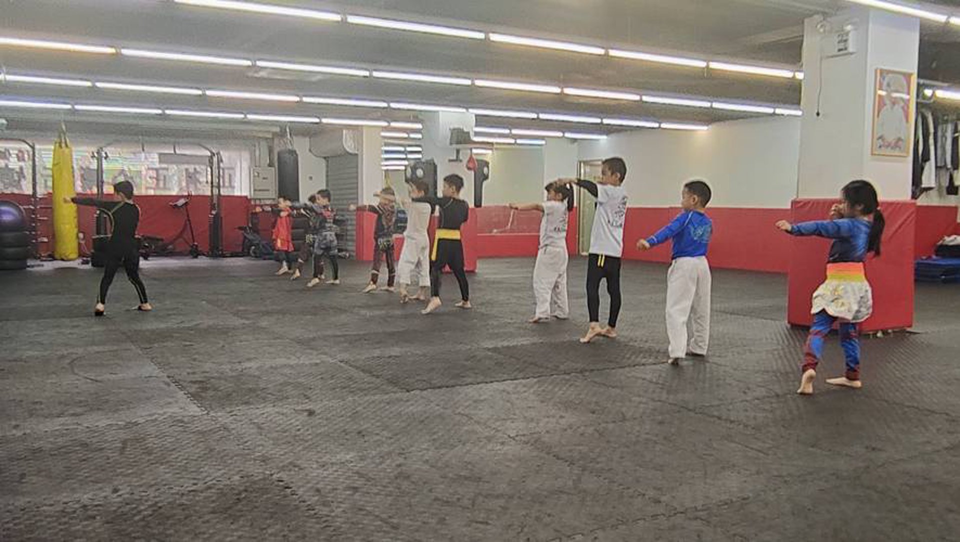 正礼正心武道